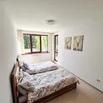Sunny C25 Borovec